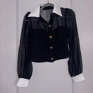 Lulu's Black Sheer Blouse with White Collar